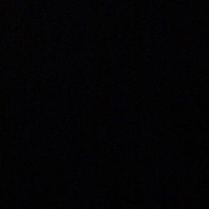 Meet your Posher, Cesar